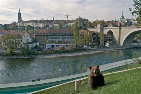 Bern Switzerland Bear Park